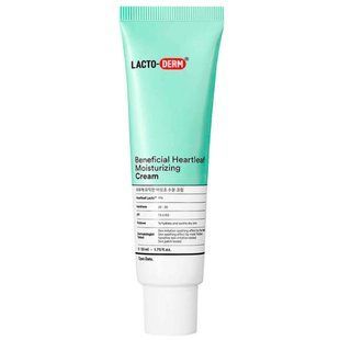 Зволожувальний крем CKD LACTO-DERM Beneficial Heartleaf Moisturizing Cream M237573 фото