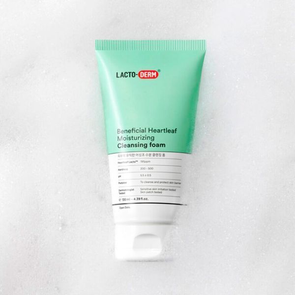 Пінка для вмивання CKD LACTO-DERM Beneficial Heartleaf Moisturizing Cleansing Foam M237574 фото