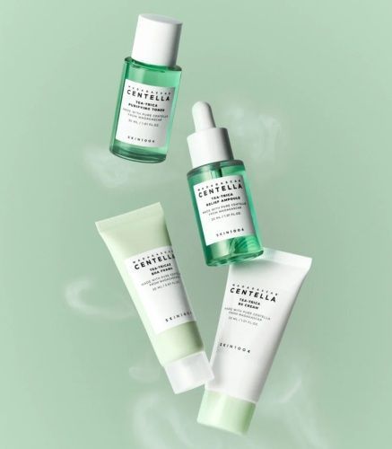 Набір мініатюр з центелою та чайним деревом SKIN1004 Madagascar Centella Tea-Trica Travel Kit M239696 фото