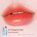 Зволожуючий відтінковий бальзам для губ Tocobo Glass Tinted Lip Balm 013 Tangerine Red M007636 фото 2